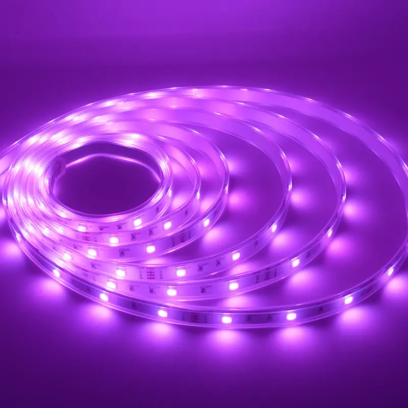 5m Led Strip Light 12mm RGBWsupply 7