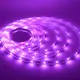 5m Led Strip Light 12mm RGBWsupply 7