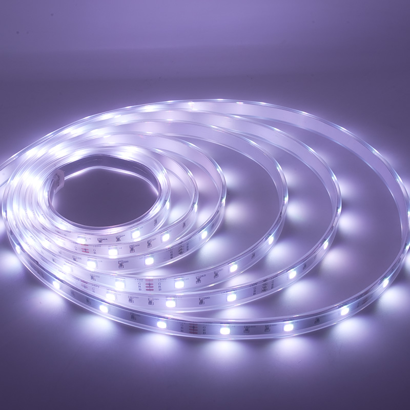 Cinta colorida impermeable de la luz de tira del LED 12V RGB LED con 48 LED los 5M IP67 5