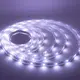 5m Led Strip Light 12mm RGBWsupply 6