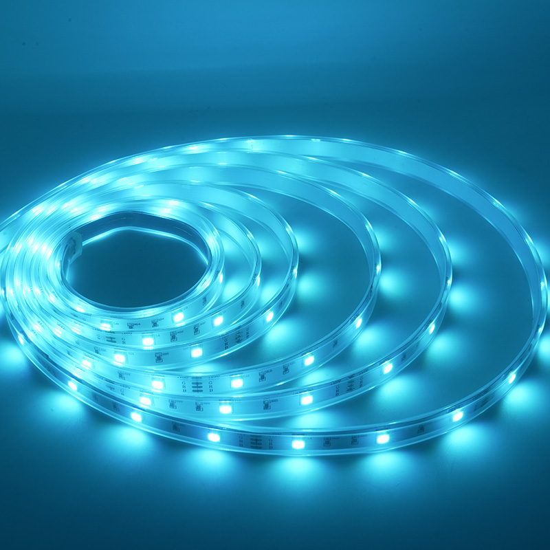 Cinta colorida impermeable de la luz de tira del LED 12V RGB LED con 48 LED los 5M IP67 4