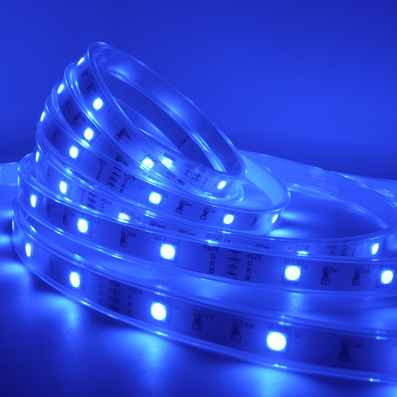 Cinta colorida impermeable de la luz de tira del LED 12V RGB LED con 48 LED los 5M IP67 18