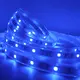 5m Led Strip Light 12mm RGBWsupply 3