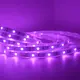 5m Led Strip Light 12mm RGBWsupply 2