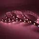 High Quality Blue Led Strip Lights for School 8