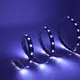 High Quality Blue Led Strip Lights for School 5