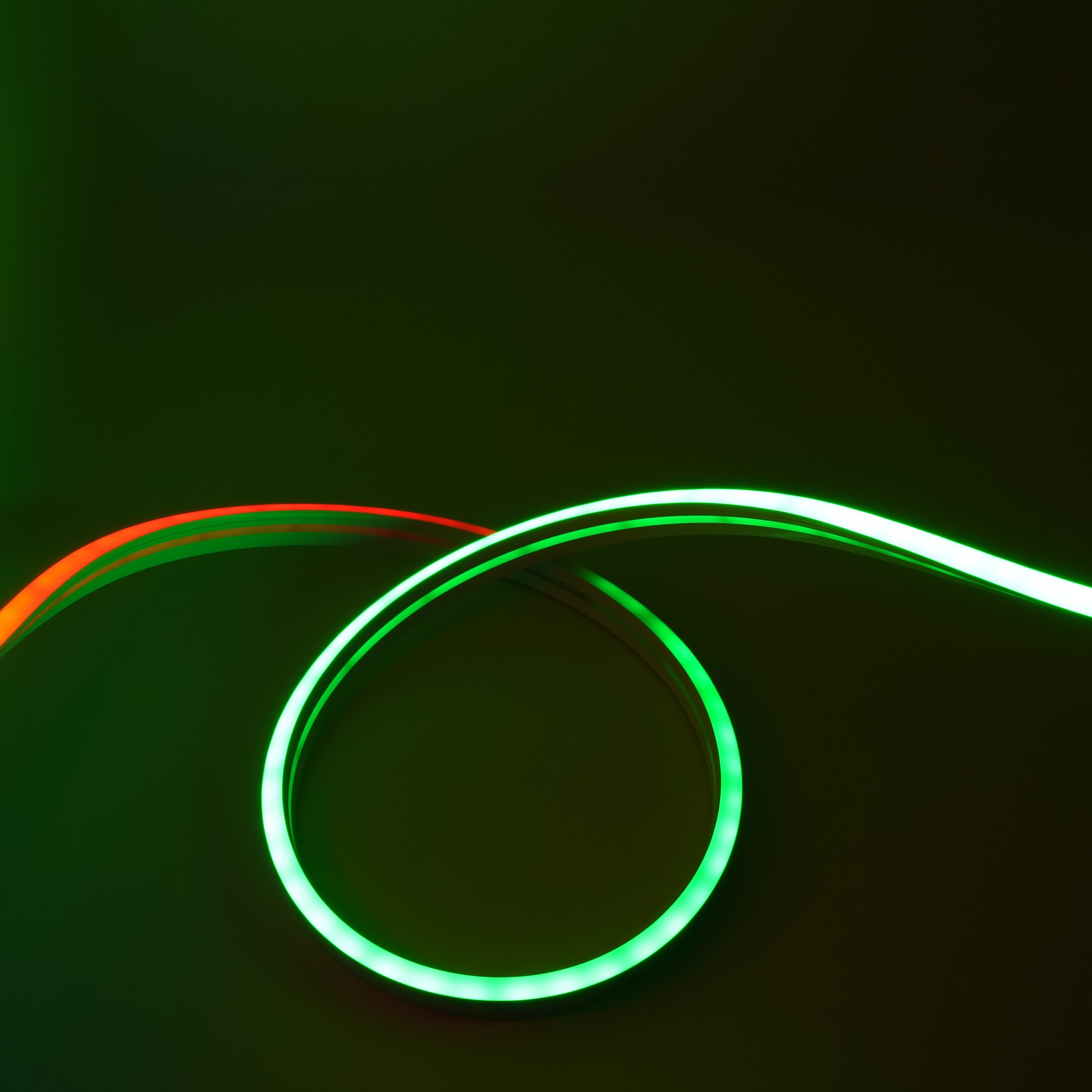 Tube néon adressable en Silicone, bandes numériques RGB 12V, 12x18MM, couleur de rêve, câble flexible pour signe néon 4