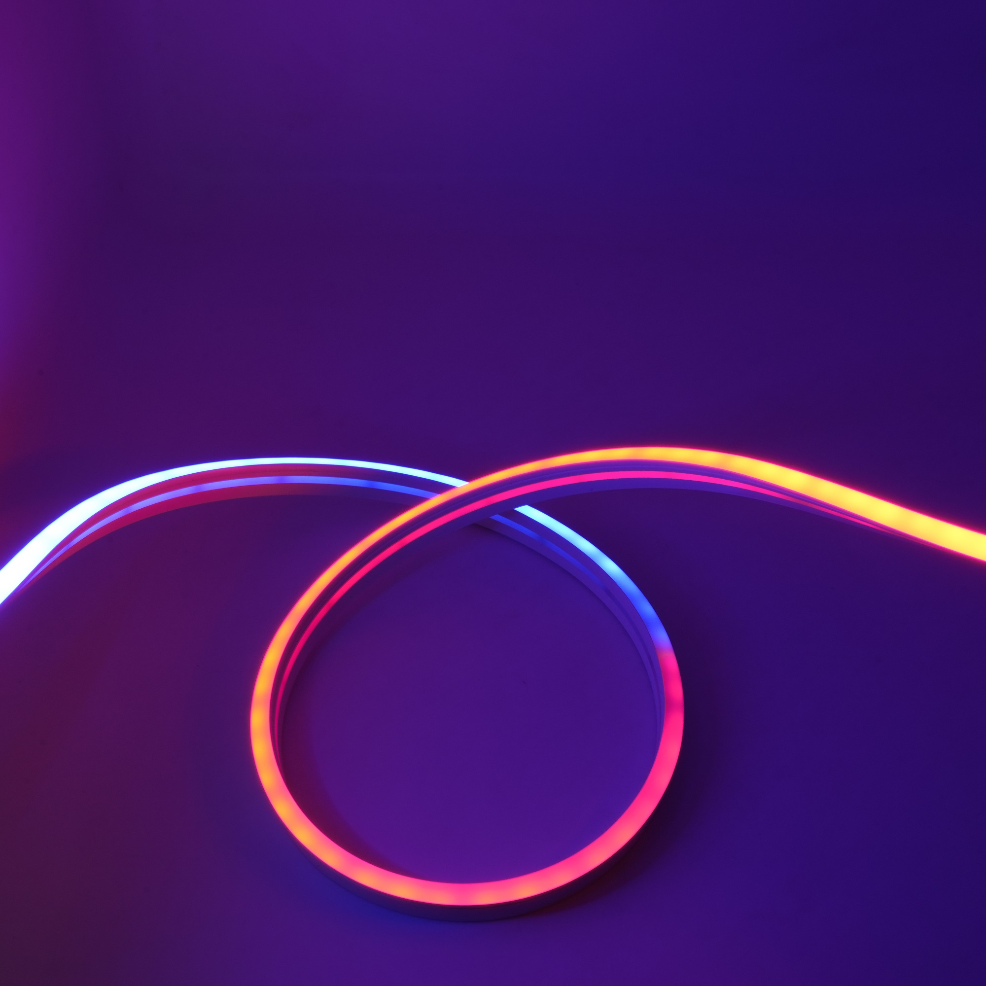 Tube néon adressable en Silicone, bandes numériques RGB 12V, 12x18MM, couleur de rêve, câble flexible pour signe néon 3