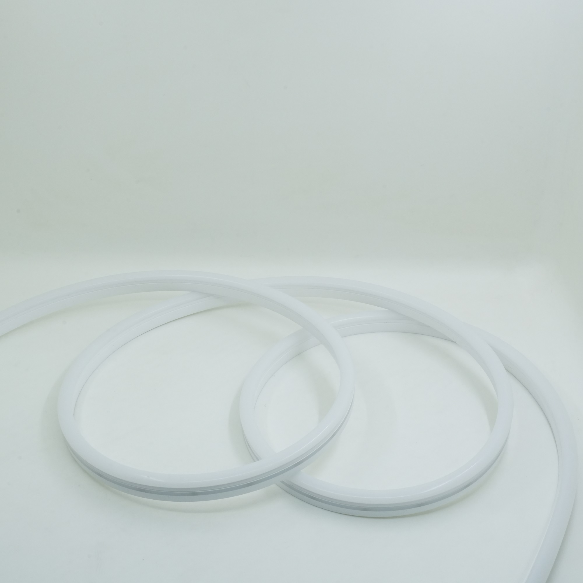 Reliable Neon Led Strip Series for School 10