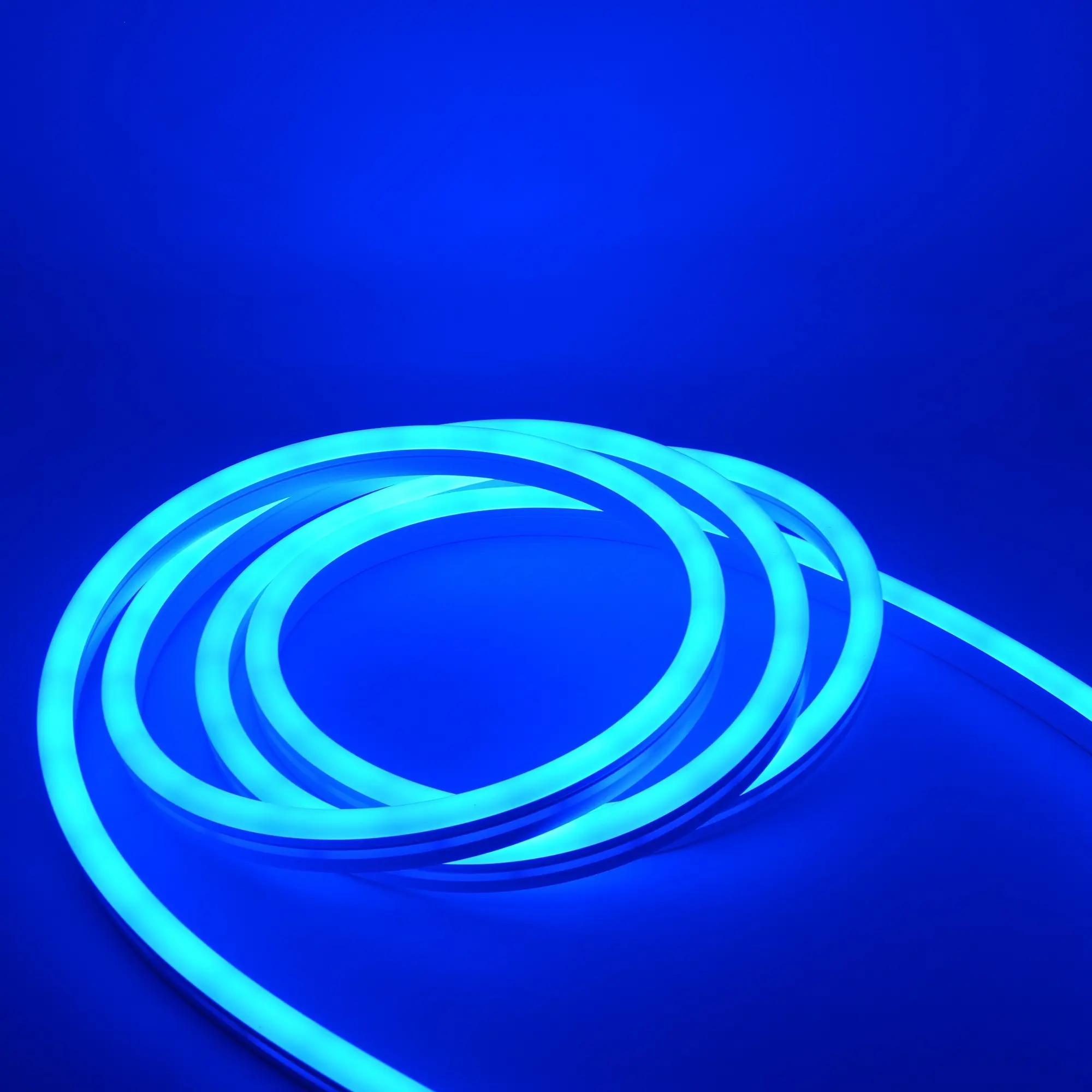Reliable Neon Led Strip Series for School 4