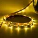 Best Price High Voltage Led Strip for Industrial 7