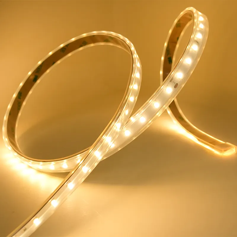 Bulk Custom Led Strip Design for Decorative Lighting 4