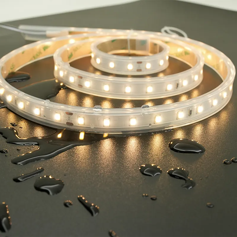 Bulk Custom Led Strip Design for Decorative Lighting 9