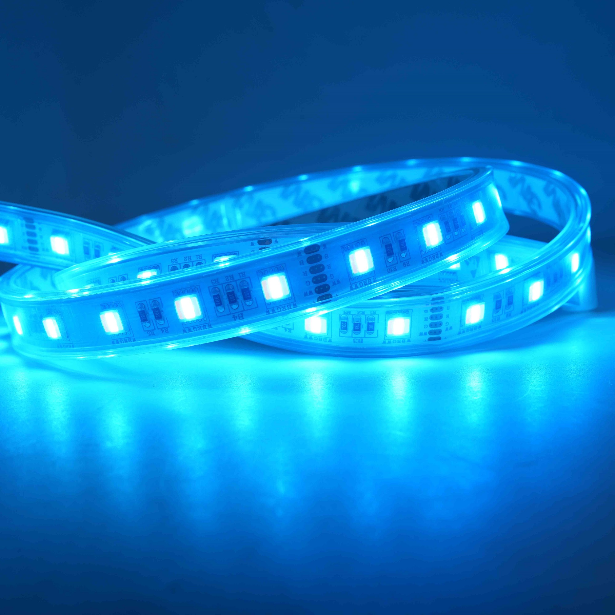 مصابيح شريطية 5050 RGB LED: 60 مصباح LED لتزيين المناظر الطبيعية المذهلة 2