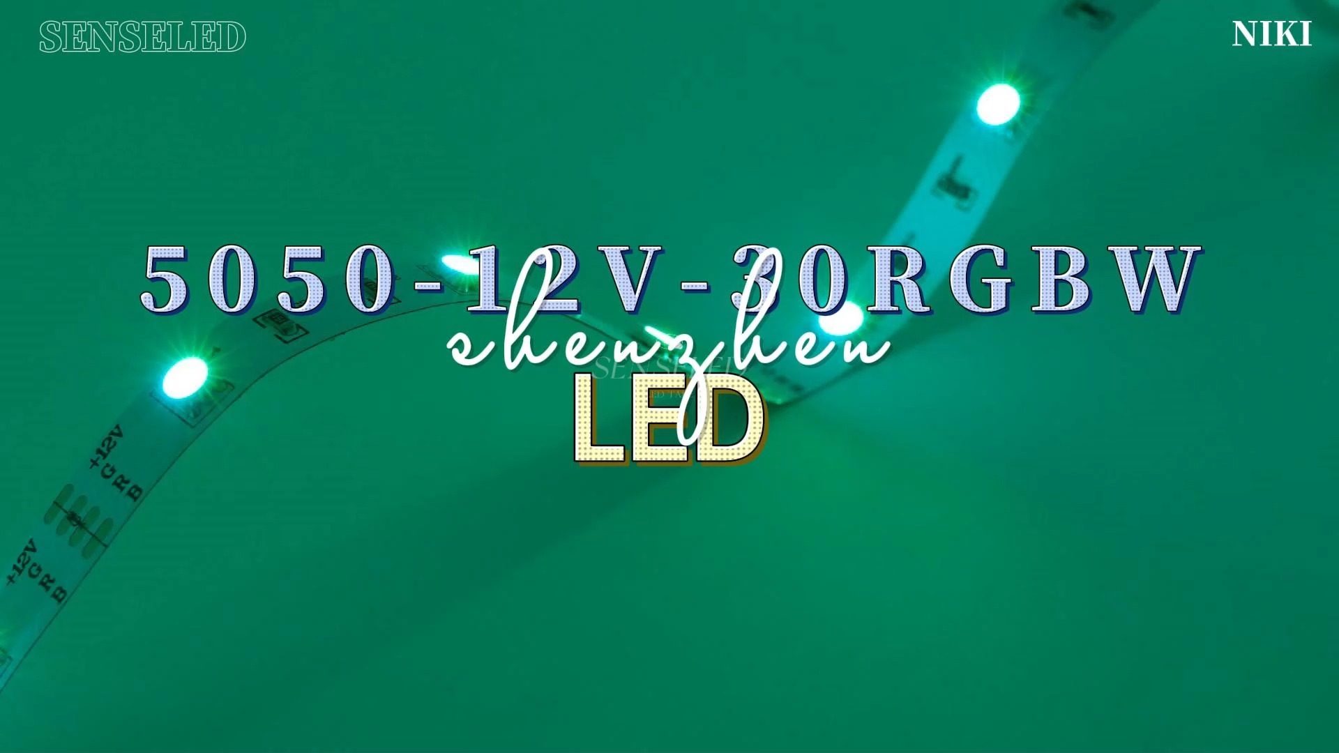 Cinta colorida impermeable de la luz de tira del LED 12V RGB LED con 48 LED los 5M IP67 1