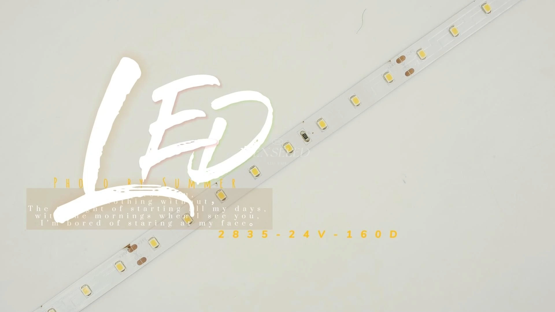 La alta eficacia luminosa 2835 LED cinta 24V tira de luz blanca cálida 160 LEDs/M DC24V IP68 para oficina 1