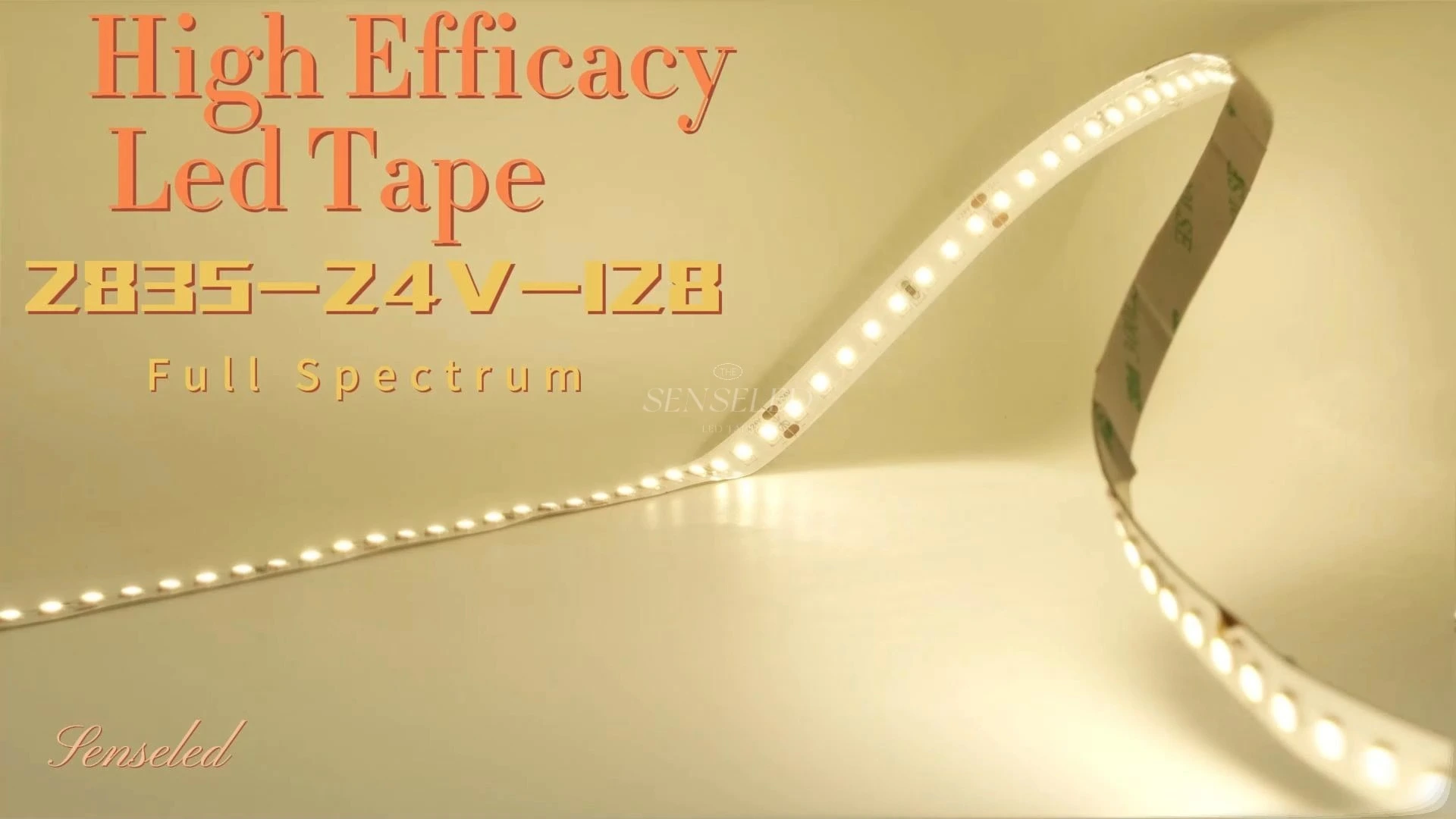 Ruban LED polyvalent 24 V à spectre complet – 128 LED, idéal pour tous les besoins d'éclairage. 1