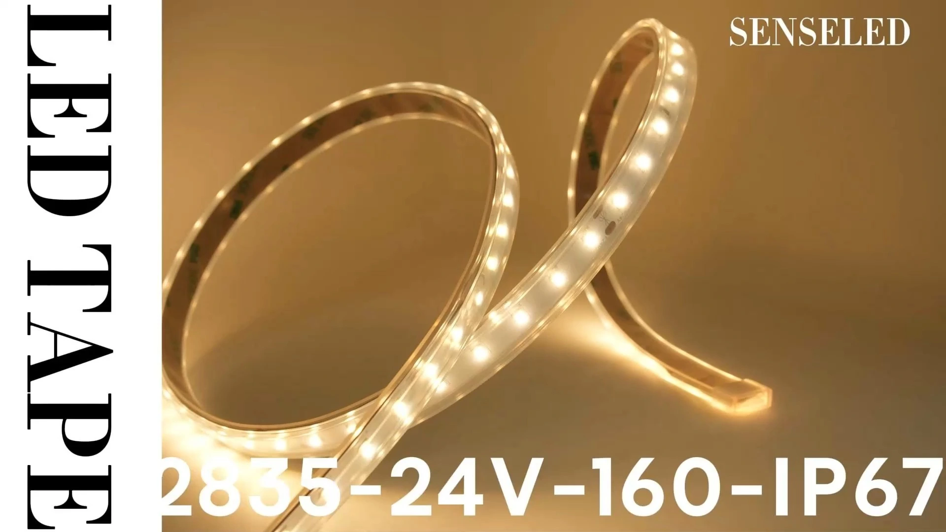 Vollspektrum 2835 LED-Band 24 V mit 160 hellen LEDs (Gehäuse) 1