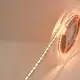 Newest Led Strip Lights 24V DC SENSELED Brand 6