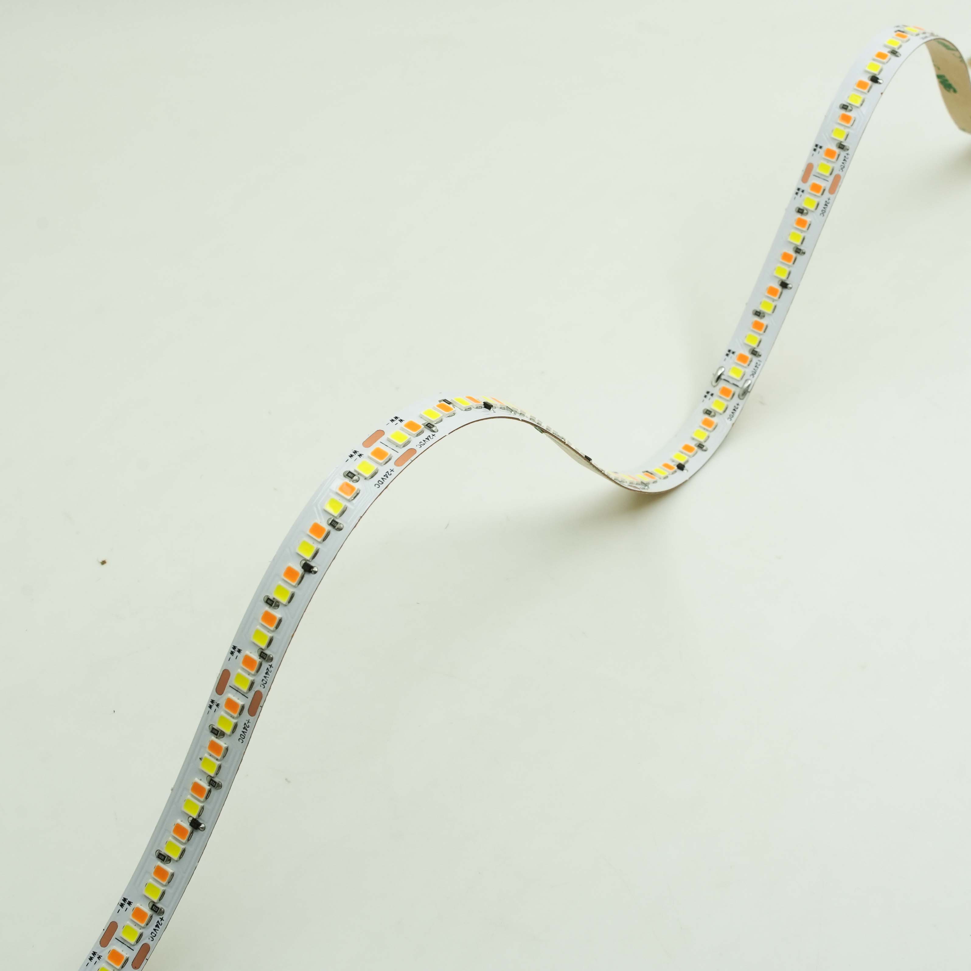 Dc24v chaud CCT Led bande 2835 240Led bande lumineuse de 1800K à 3000K variateur multicolore lumière Led bande 3