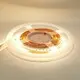 Newest Led Strip Lights 24V DC SENSELED Brand 8