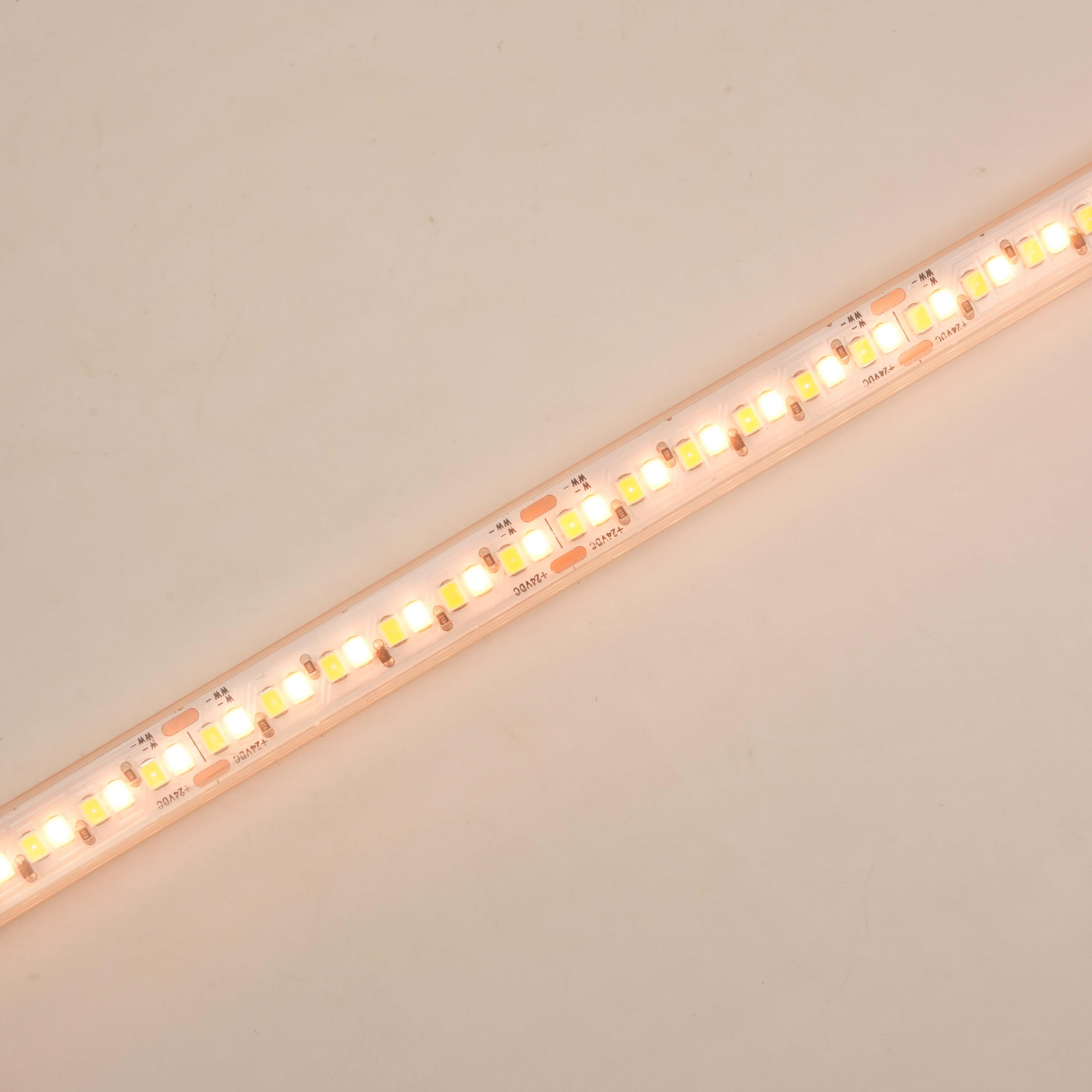 C.P. Ra 95 élevé 24V double lumière blanche IP67 240LEDs/m de bande de SMD2835 LED 5