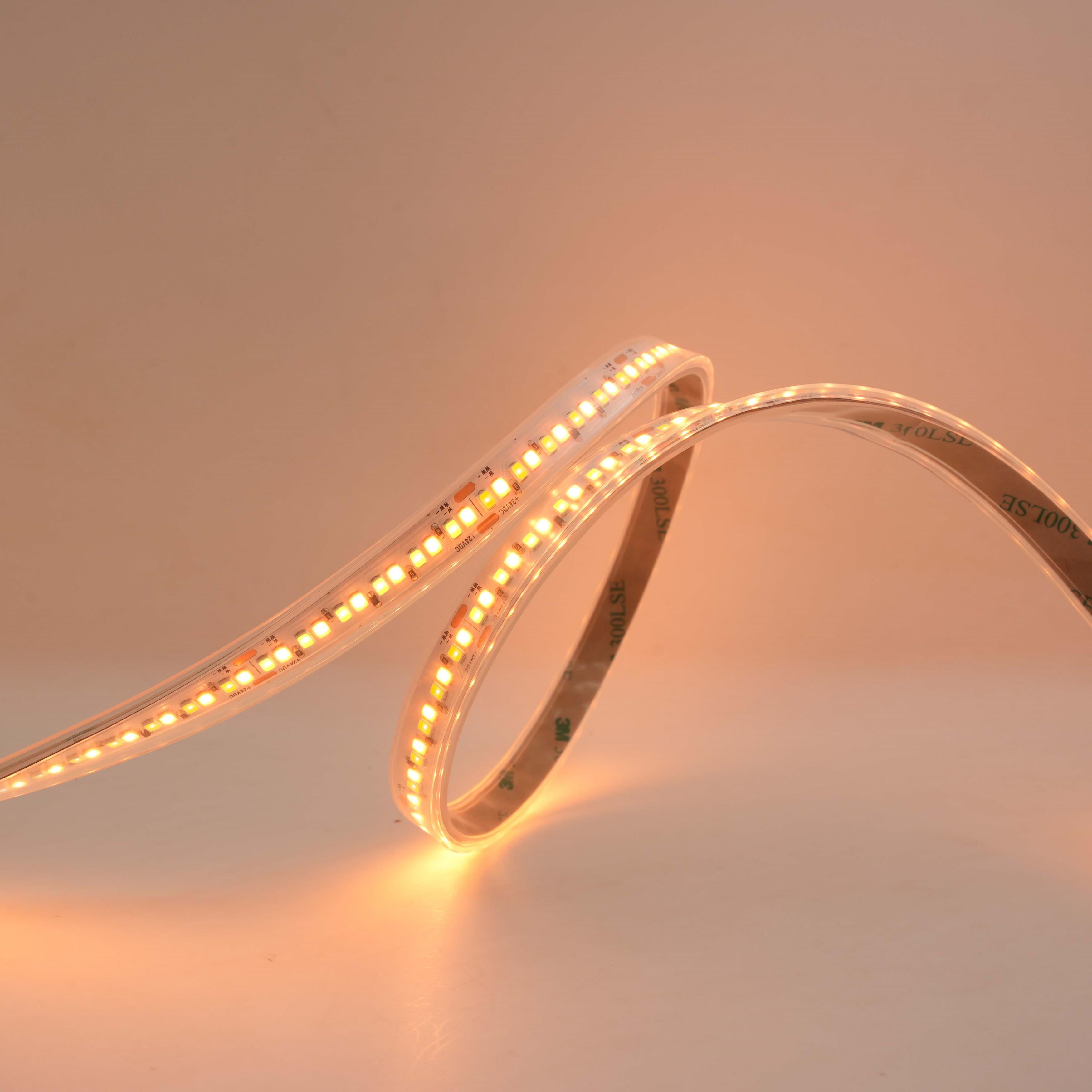 C.P. Ra 95 élevé 24V double lumière blanche IP67 240LEDs/m de bande de SMD2835 LED 6