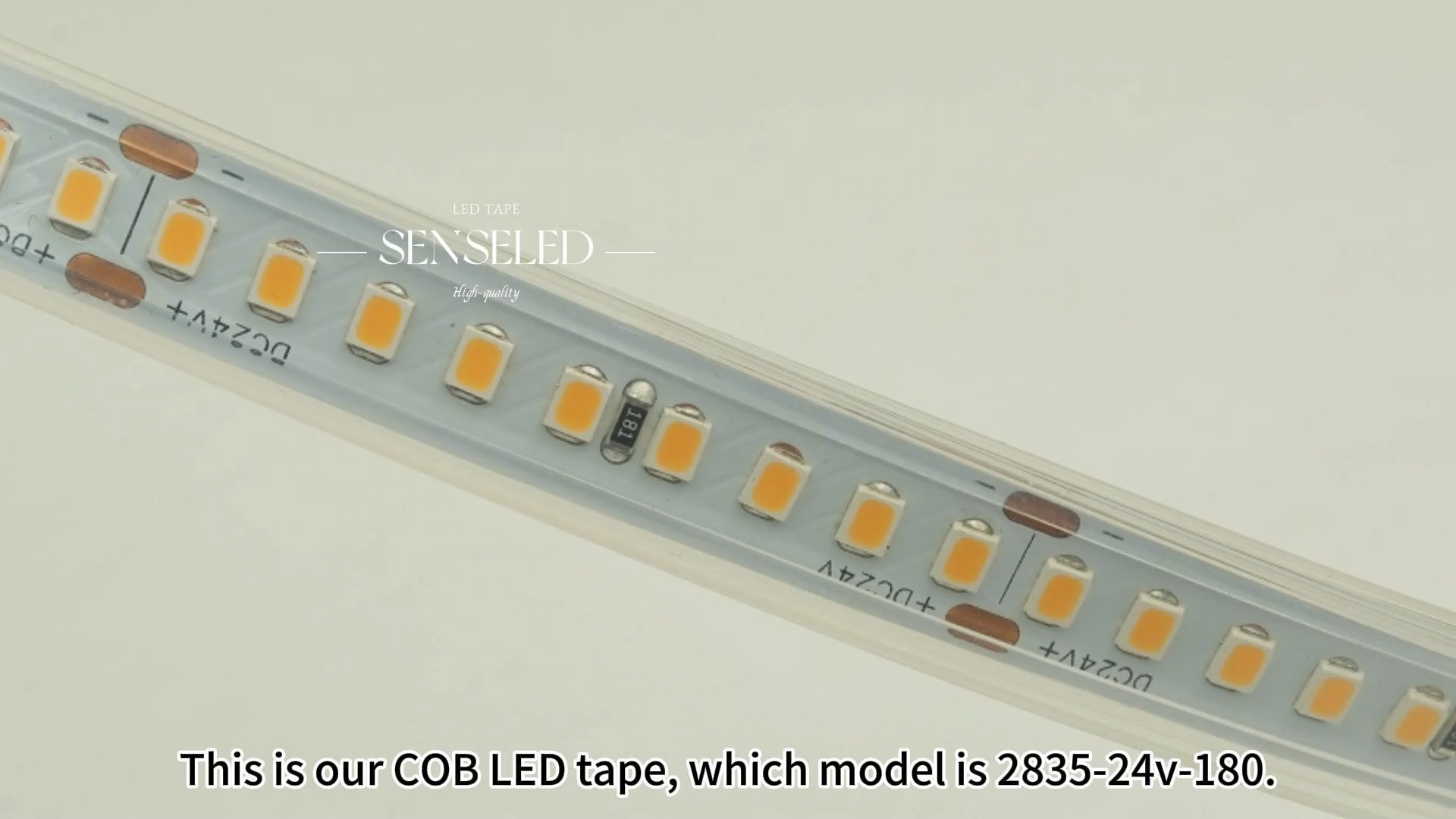 C.P. Ra 95 élevé 24V double lumière blanche IP67 240LEDs/m de bande de SMD2835 LED 1