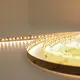 SENSELED Brand Led Strip Supplier 1