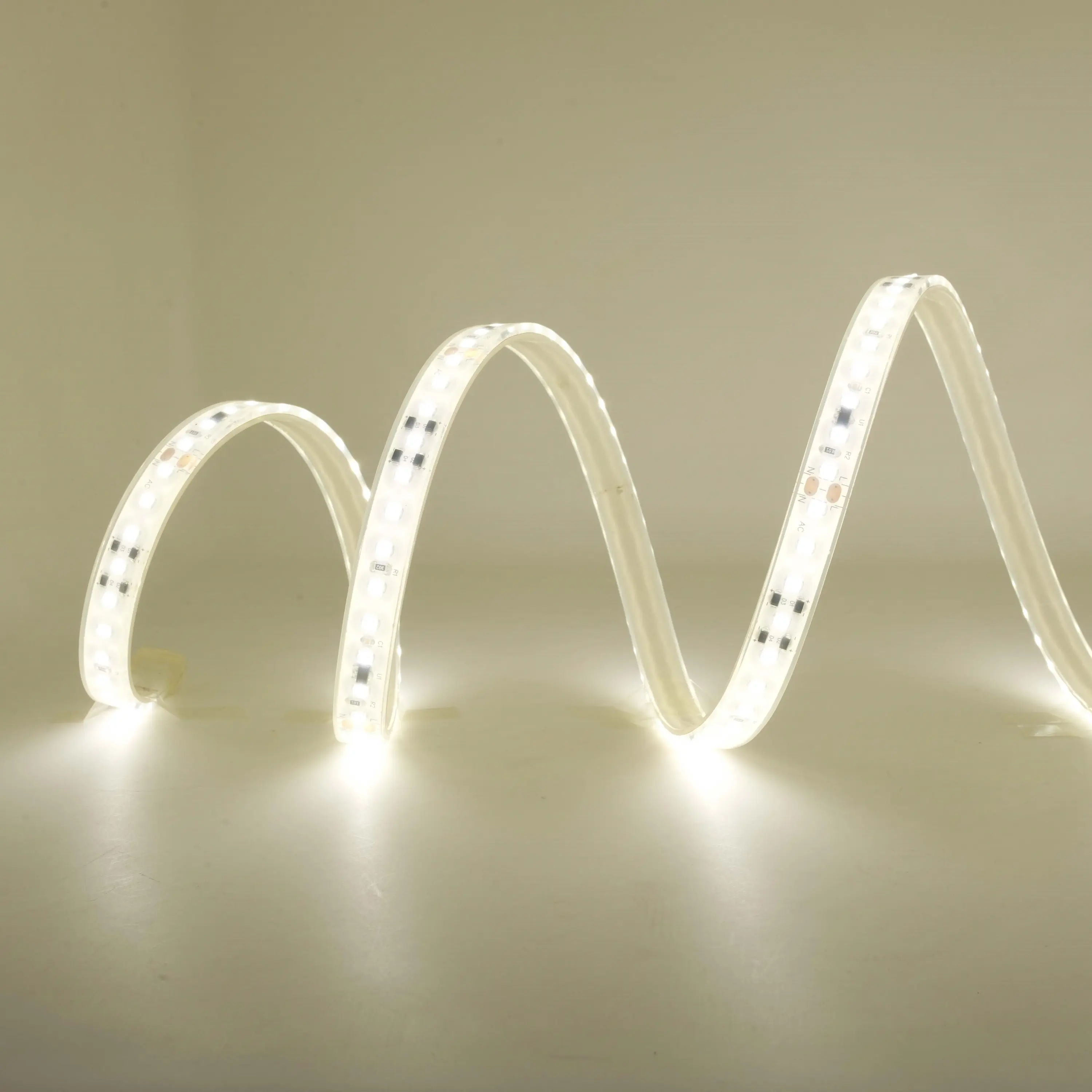 Professional Outdoor Christmas Light Strips Price List 6