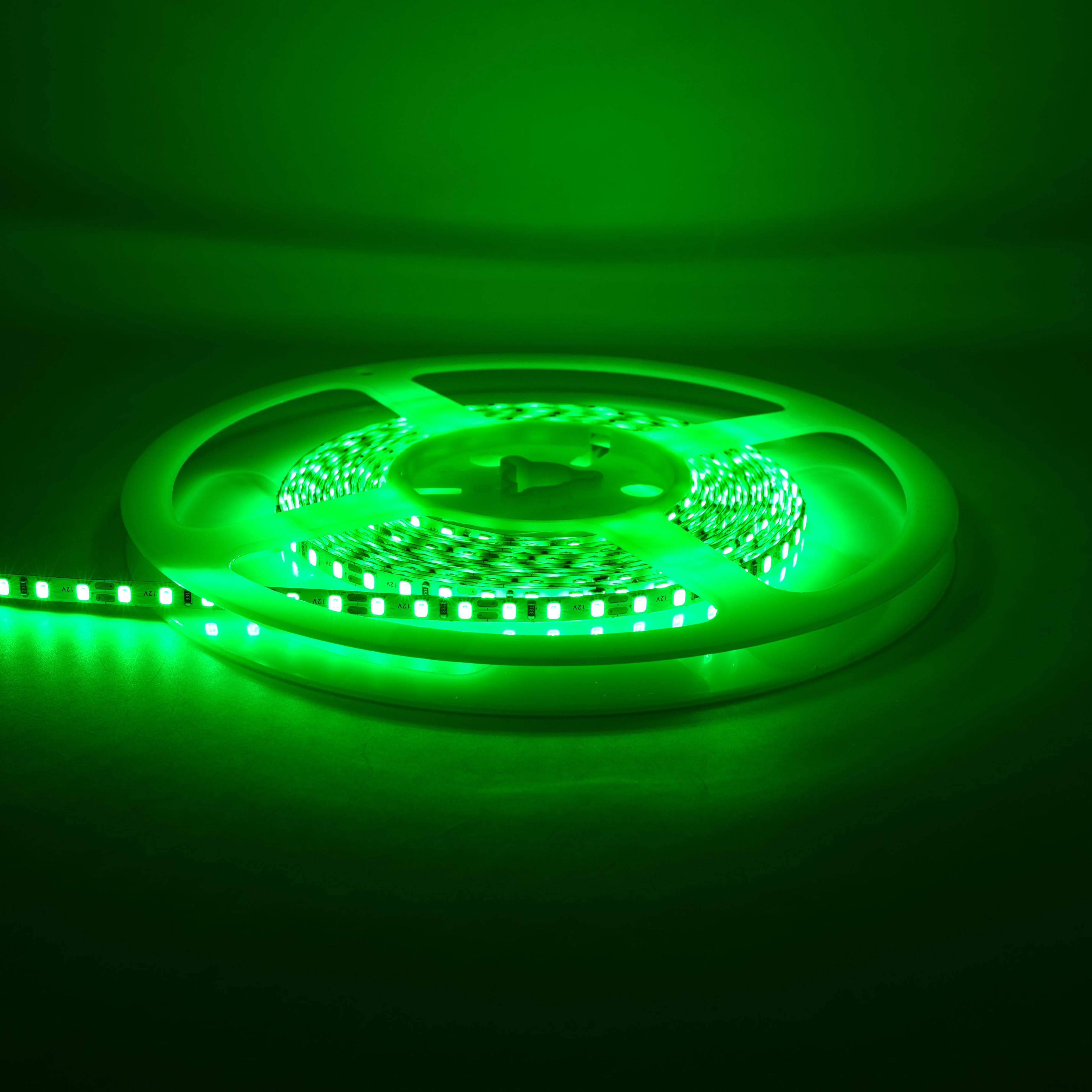 Ruban lumineux LED vert 2835 12 V - Bande monochrome IP20 114 LED/m pour éclairage décoratif 1