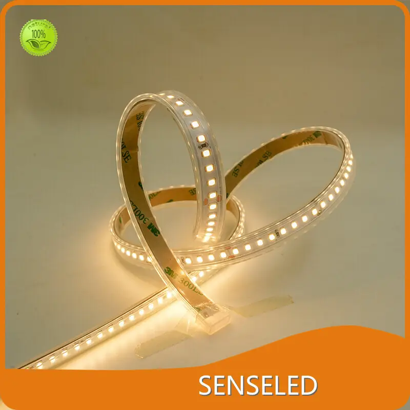 Outdoor Christmas Light Strips with Good Price for Commercial12-18W 1