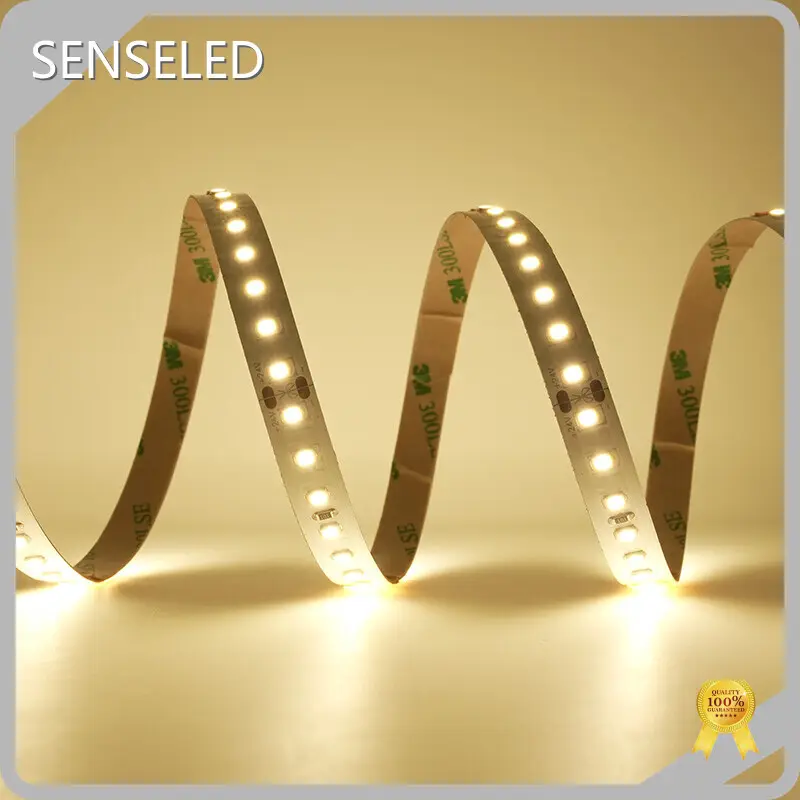 High End Dimmable Led Strip Lights Dimmable Led Strip Lights Company 1
