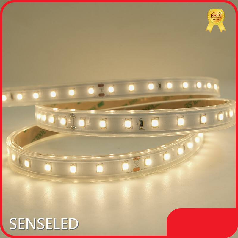 Bulk Custom Led Strip Design for Decorative Lighting 1