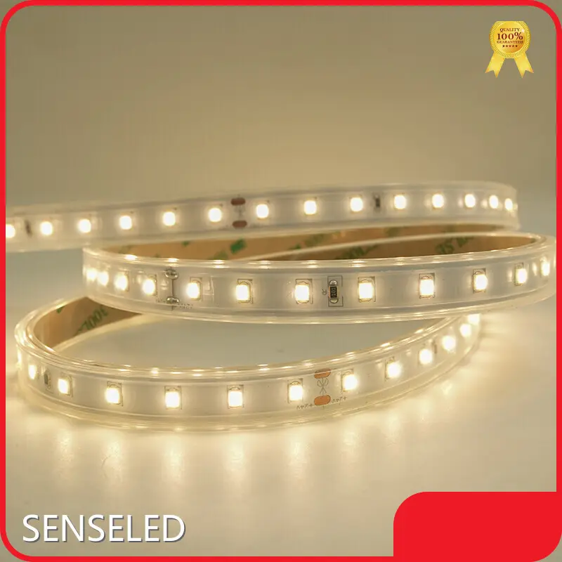 Bulk Custom Led Strip Design for Decorative Lighting 1