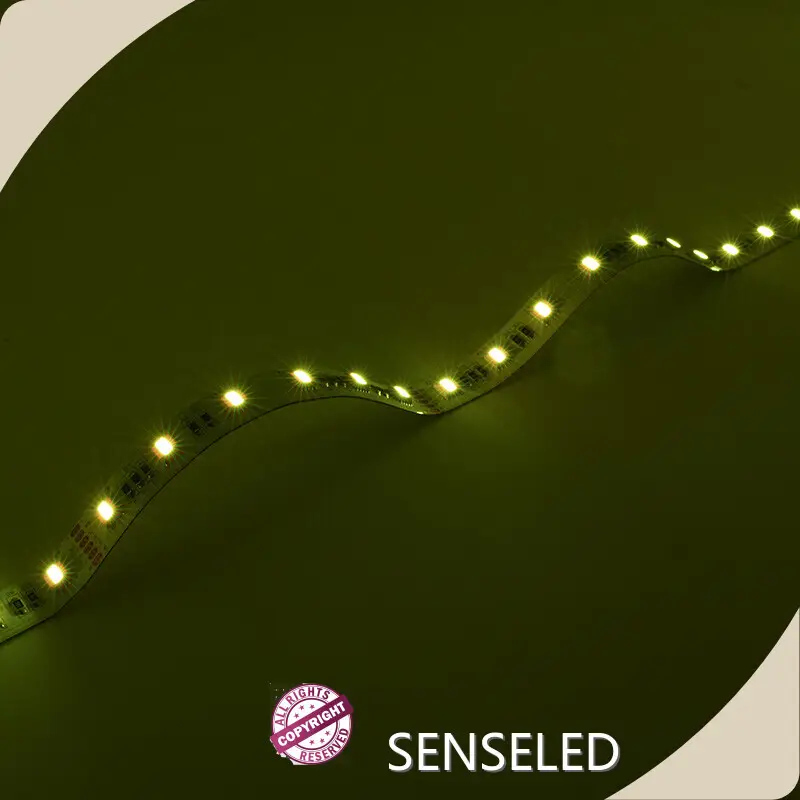 High Quality Blue Led Strip Lights for School 1