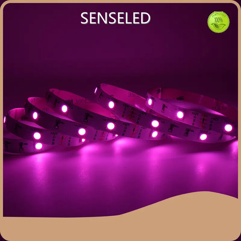 Standard Strip Light for Decoration Directly Sale for Industrial 1
