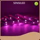 Standard Strip Light for Decoration Directly Sale for Industrial 1