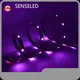 Custom Led Strip for Decorative Lighting 15-70LEDdirectly Sale 1