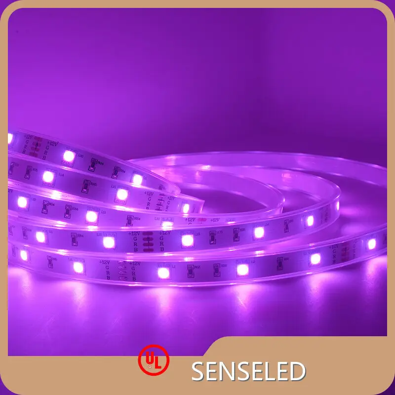 5m Led Strip Light 12mm RGBWsupply 1