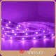 5m Led Strip Light 12mm RGBWsupply 1