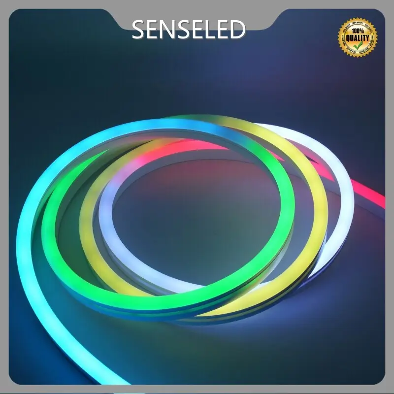 Reliable Neon Led Strip Series for School 1