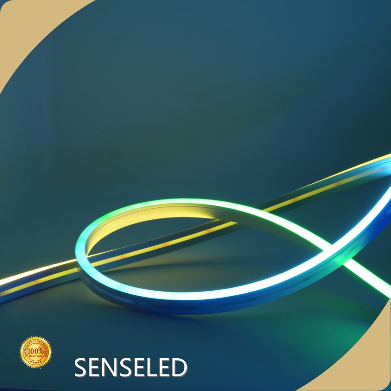 Bulk Smart Rgb String Lights Price List 1