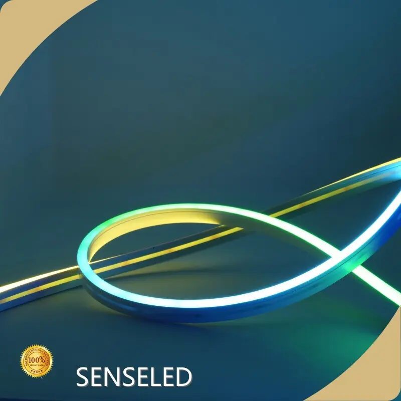 Bulk Smart Rgb String Lights Price List 1