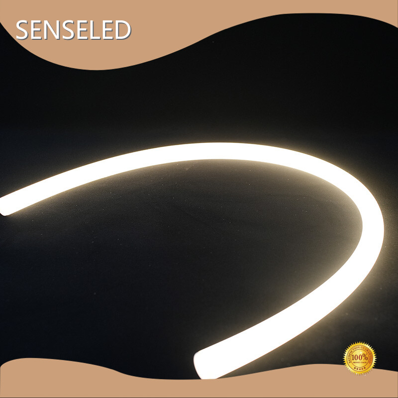 Reliable Smart Rgb String Lights Price List 1