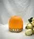 Essential Oil Ceramic Diffuser 300ml by SQZ Diffuser 7