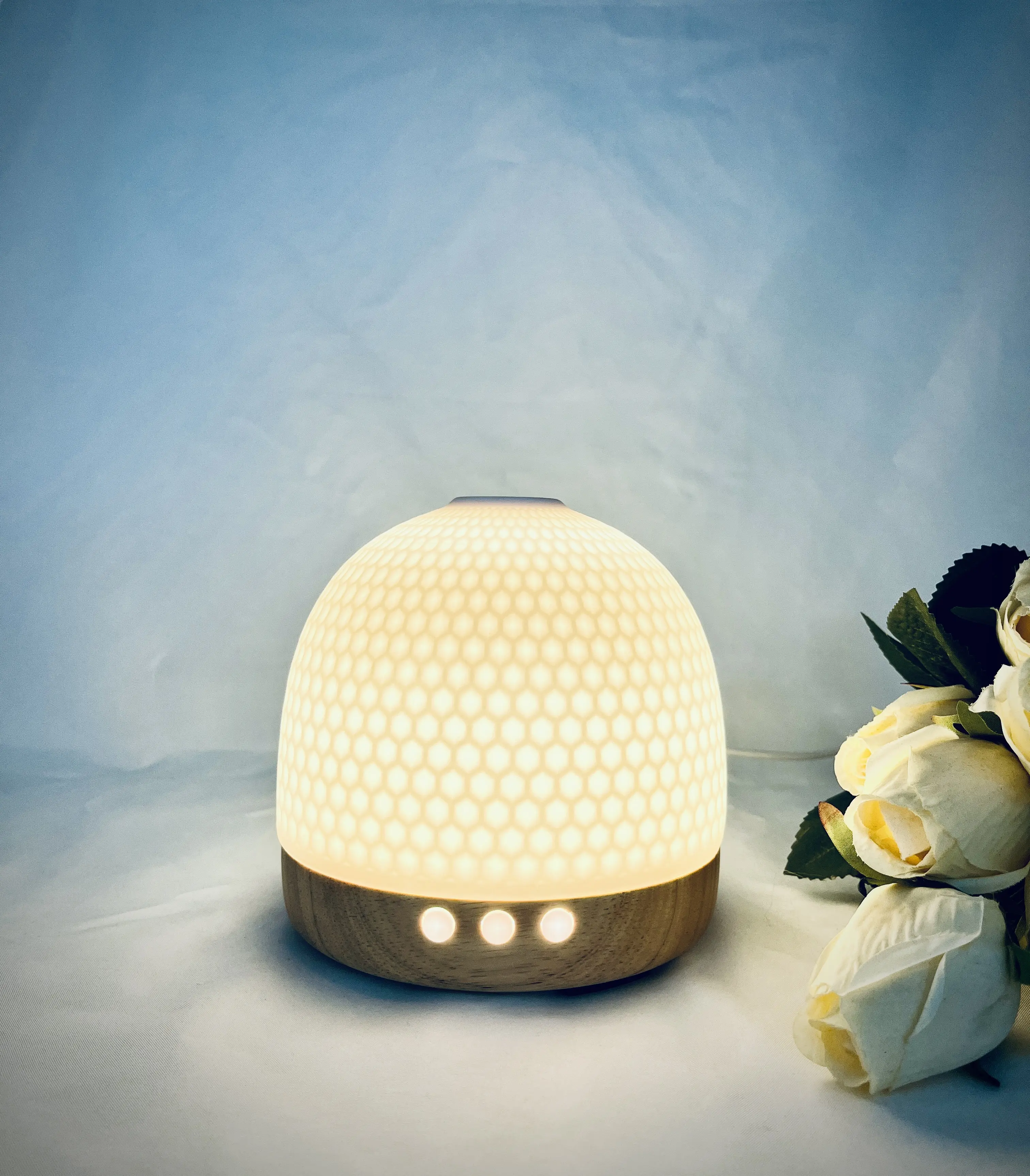 Essential Oil Ceramic Diffuser 300ml by SQZ Diffuser 3