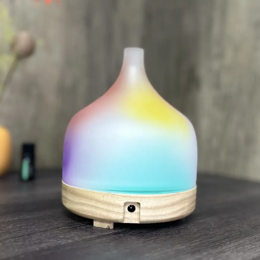 Aroma Diffuser Factory US WG2220suppliers 4