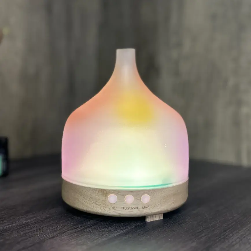 Aroma Diffuser Factory US WG2220suppliers 5