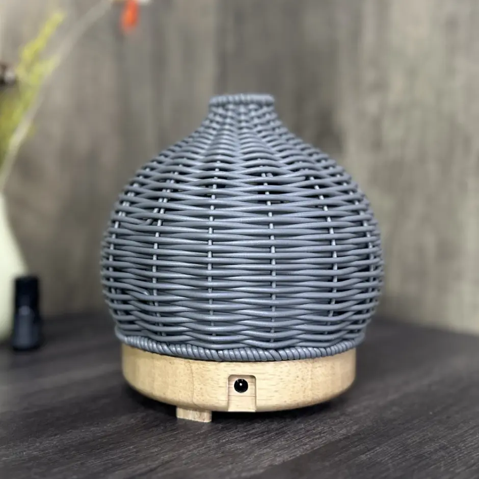 SQZ Diffuser Best Wood Diffuser WR4304 Best Wood Diffuserprice 3